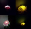 Lampu Taman Tancap Model Bunga Mawar 1 LED – 80 cm – LT 1008