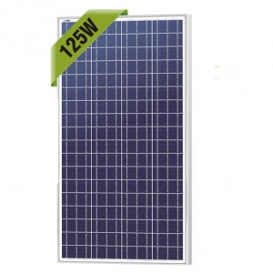 Panel Surya 125 WP Shinyoku Polycrystalline