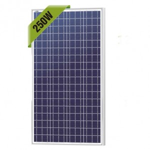 Panel Surya 250 WP Shinyoku Polycrystalline