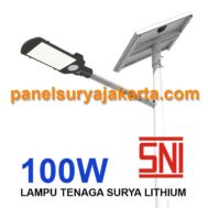 PJU Two In One 100 watt SNI Lithium | PJU Solar Cell 2 in 1 100 watt
