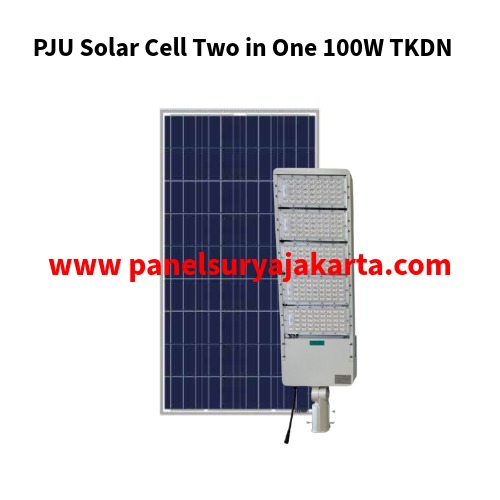 PJU Solar Cell Two in One 100W TKDN